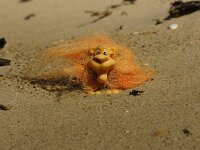 NL, Noord-Holland, Texel, paal 15 9, Saxifraga-Foto Fitis-Sytske Dijksen