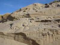 NL, Noord-Holland, Texel, paal 16 1, Saxifraga-Foto Fitis-Sytske Dijksen
