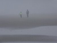 NL, Noord-Holland, Texel, paal 16 6, Saxifraga-Foto Fitis-Sytske Dijksen