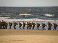 NL, Noord-Holland, Texel, paal 17 1, Saxifraga-Foto Fitis-Sytske Dijksen