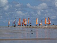 NL, Noord-Holland, Texel, paal 28 10, Saxifraga-Foto Fitis-Sytske Dijksen