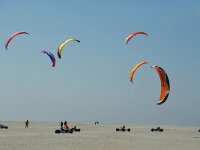 NL, Noord-Holland, Texel, paal 30 1, Saxifraga-Foto Fitis-Sytske Dijksen