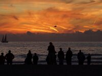 NL, Noord-Holland, Texel, paal 9 38, Saxifraga-Foto Fitis-Sytske Dijksen