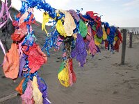 NL, Noord-Holland, Texel, paal 9 40, Saxifraga-Foto Fitis-Sytske Dijksen