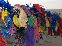 NL, Noord-Holland, Texel, paal 9 41, Saxifraga-Foto Fitis-Sytske Dijksen