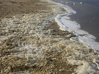 NL, Noord-Holland, Texel, paraffin, paal 11 2, Saxifraga-Foto Fitis-Sytske Dijksen