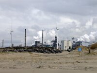 NL, Noord-Holland, Velsen, Kennemerstrand 1, Saxifraga-Foto Fitis-Sytske Dijksen