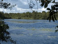 NL, Noord-Holland, Wijde Meren, s Graveland, Het Hol 1, Saxifraga-Marijke Verhagen