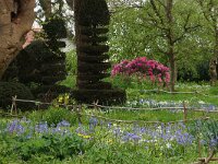 NL, Noord-Holland, Wijdemeren, Sijpestijn 1, Saxifraga-Foto Fitis-Sytske Dijksen