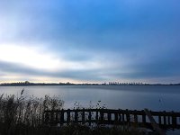 NL, Noord-Holland, Wijdemeren, Spiegelplas 2, Saxifraga-Bart Vastenhouw