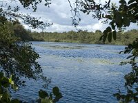 NL, Noord-Holland, Wijdemeren, s-Graveland, Het Hol 2, Saxifraga-Marijke Verhagen