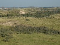 NL, Noord-Holland, Zandvoort, Kraaienveld 3, Saxifraga-Jan van der Straaten