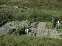 NL, Noord-Holland, Zandvoort, Kraaienveld 4, Saxifraga-Jan van der Straaten