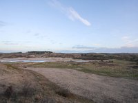 NL, Noord-Holland, Zandvoort, Kraansvlak 1, Saxifraga-Bart Vastenhouw