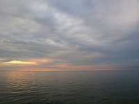 NL, Noordzee 1, Saxifraga-Bart Vastenhouw