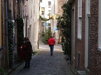 NL, Overijssel, Deventer 17, Saxifraga-Hans Dekker