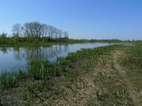 NL, Overijssel, Deventer, Ossenwaard 1, Saxifraga-Mark Zekhuis