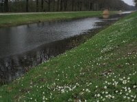 NL, Overijssel, Dinkelland, Agelerbroek 27, Saxifraga-Hans Boll