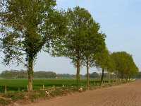 NL, Overijssel, Enschede 1, Saxifraga-Mark Zekhuis