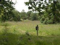 NL, Overijssel, Haaksbergen, Buurserzand, Harreveldschans 12, Saxifraga-Willem van Kruijsbergen