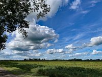 NL, Overijssel, Hardenberg, Slagenweg 1, Saxifraga-Ab H Baas