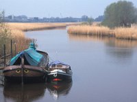 NL, Overijssel, Hasselt 1, Saxifraga-Hans Dekker