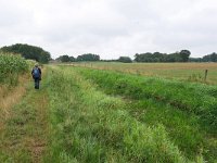 NL, Overijssel, Hof van Twente, Drekkersstrang SE of Bentelo 1, Saxifraga-Tom Heijnen