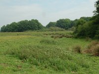 NL, Overijssel, Ommen, Junnerkoeland 19, Saxifraga-Willem van Kruijsbergen