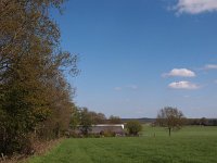 NL, Overijssel, Raalte, Luttenberg 1, Saxifraga-Hans Dekker