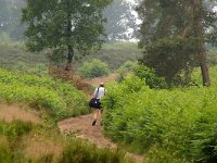 NL, Overijssel, Rijssen-Holten 1, Foto Fitis-Sytske Dijksen