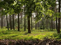 NL, Overijssel, Rijssen-Holten 2, Foto Fitis-Sytske Dijksen