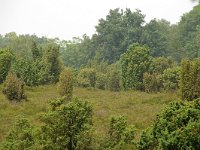 NL, Overijssel, Rijssen-Holten 9, Foto Fitis-Sytske Dijksen