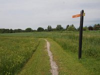 NL, Overijssel, Steenwijkerland, Weerribben 29, Saxifraga-Hans Dekker