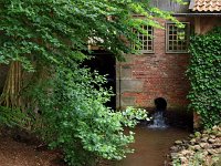 NL, Overijssel, Tubbergen, Bels Vasse 3, Saxifraga-Hans Dekker