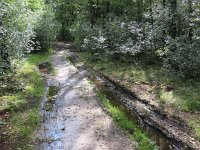 NL, Overijssel, Tubbergen, Mander 1, Saxifraga-Mark Zekhuis