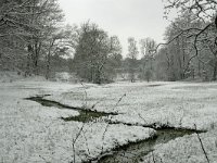 NL, Overijssel, Tubbergen, Sprengebeek 1, Saxifraga-Ab H Baas