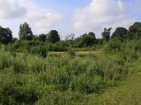 NL, Overijssel, Wierden, Ypelo, De Doorbraak 1, Saxifraga-Peter Meininger