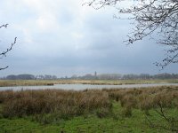 NL, Utrecht, Amerongen, Amerongse Bovenpolder 1, Saxifraga-Bart Vastenhouw