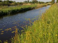 NL, Utrecht, Maarssen, Tienhoven 3, Foto Fitis-Sytske Dijksen