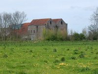 NL, Zeeland, Schouwen Duiveland, Kapelle Cichoreifabriek 1, Saxifraga-Peter Meininger