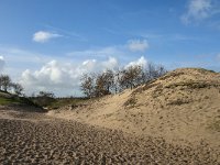 NL, Zeeland, Schouwen-Duiveland, Het Zeepe 4, Saxifraga-Jan van der Straaten