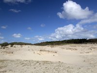 Sand drift in Dutch dunes; Zeeland, Netherlands  Sand drift in Dutch dunes; Zeeland,  Netherlands : nobody no people, forest, woodland, Dutch, Europe, European, Haamstede, Holland, Netherlands, Schouwen-Duiveland, Zeeland, beauty in nature, blue sky, cloudscape, dune, dunes, natural, nature, nature reserve, non-urban scene, outdoors, outside, rural landscape, rural scene, sand, sand drift, sandy, scenic, skyscape, summer, summertime, white clouds