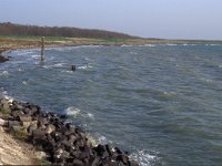 NL, Zeeland, Schouwen-Duivenland, De Schelphoek 2, Saxifraga-Jan van der Straaten