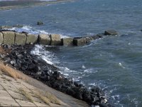 NL, Zeeland, Schouwen-Duivenland, De Schelphoek 3, Saxifraga-Jan van der Straaten