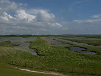 NL, Zeeland, Schouwen-Duivenland, Zuidhoek 1, Saxifraga-Jan van der Straaten