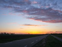 NL, Zeeland, Sluis, Nieuwvliet 2, Saxifraga-Bart Vastenhouw