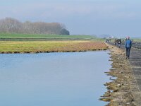 NL, Zeeland, Sluis, Voorland Nummer Een 6, Saxifraga-Tom Heijnen