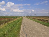 NL, Zeeland, Teneuzen, Westdorpe 1, Saxifraga-Peter Meininger