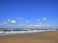 NL, Zuid-Holland, 's-Gravenhage, Noorderstrand 3, Saxifraga-Bart Vastenhouw