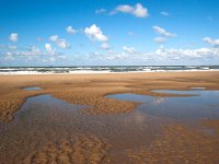 NL, Zuid-Holland, 's-Gravenhage, Noorderstrand 4, Saxifraga-Bart Vastenhouw